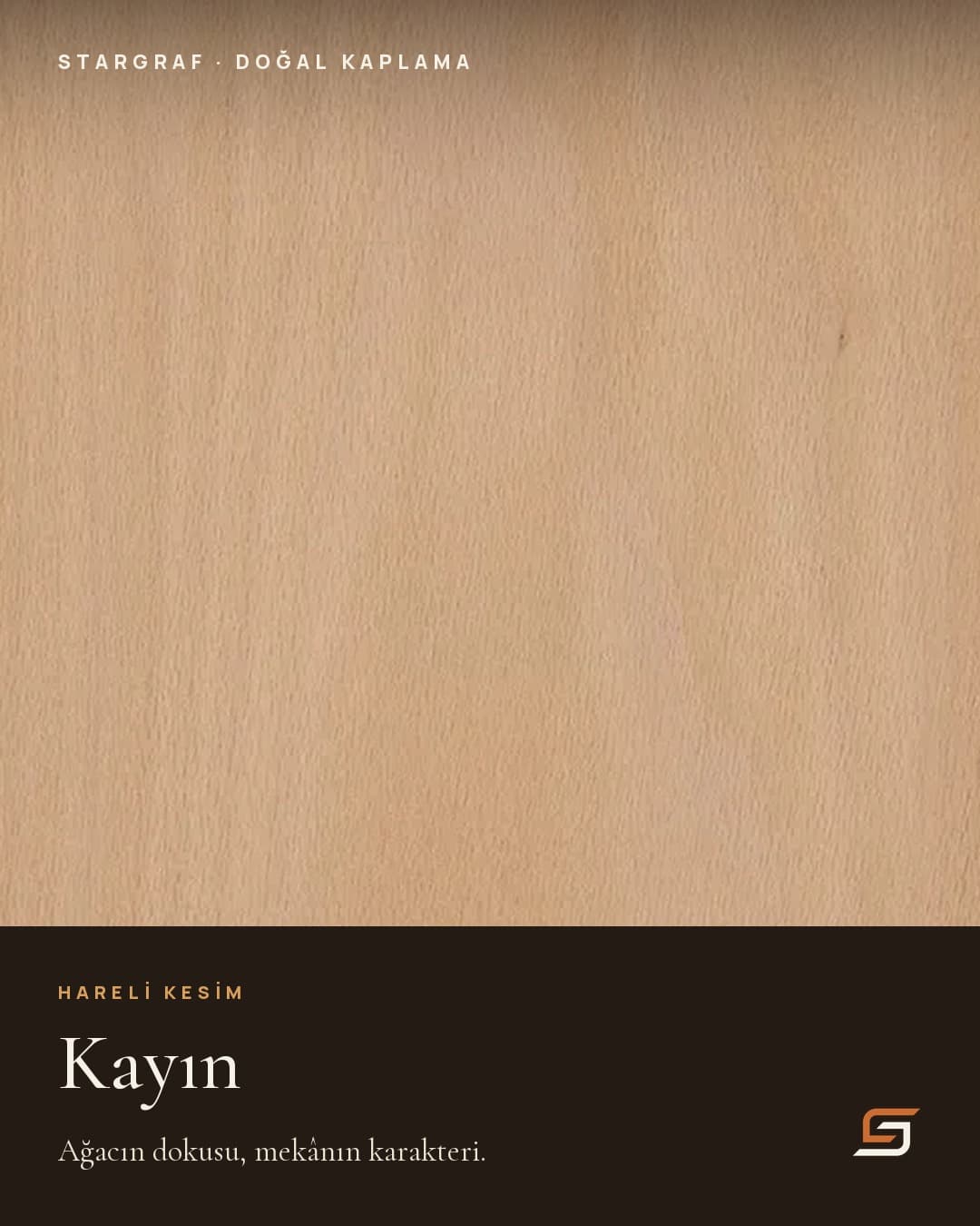 Kayın — hareli kesim.